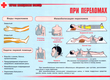 ПВ05 Первая помощь при чрезвычайных ситуациях (самокл.пленка, А3, 9 листов) - Плакаты - Медицинская помощь - ohrana.inoy.org